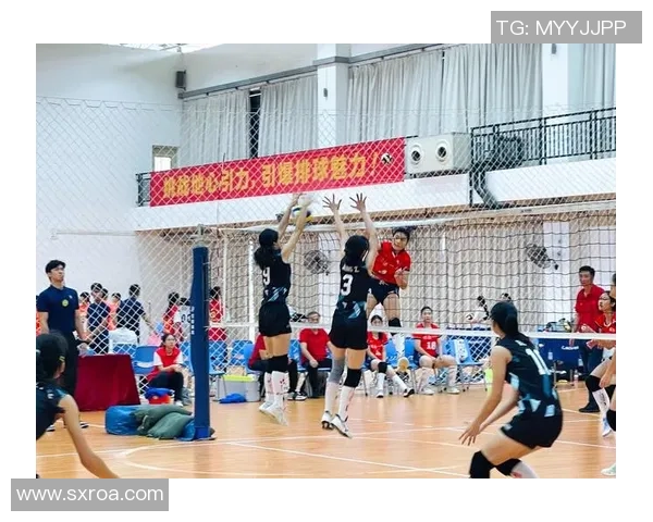 赛后分析：杭州排球队与北京排球队的默契配合与战术对抗全景回顾