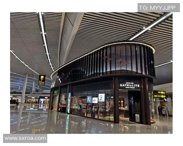 重庆乒乓球队在钻石联赛中的崛起与成长历程全景回顾 重庆乒乓球队在钻石联赛中的崛起与成长历程全景回顾