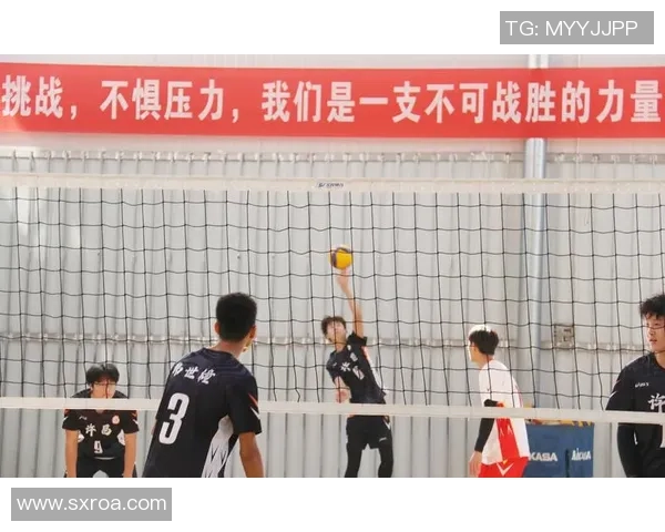 重庆排球队协同进化探讨团队配合的新模式与挑战 重庆排球队协同进化探讨团队配合的新模式与挑战