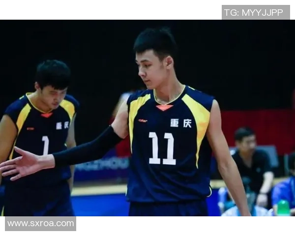 重庆排球队拼搏历程揭秘：从默默无闻到荣耀之路的奋斗故事