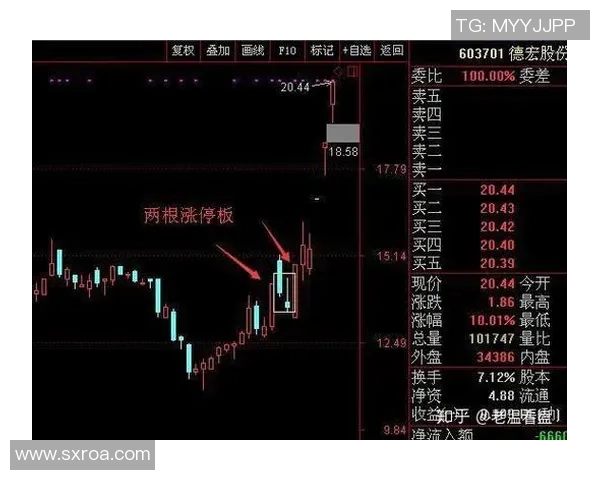 重庆篮球队与成都篮球队赛后技术分析与战术复盘