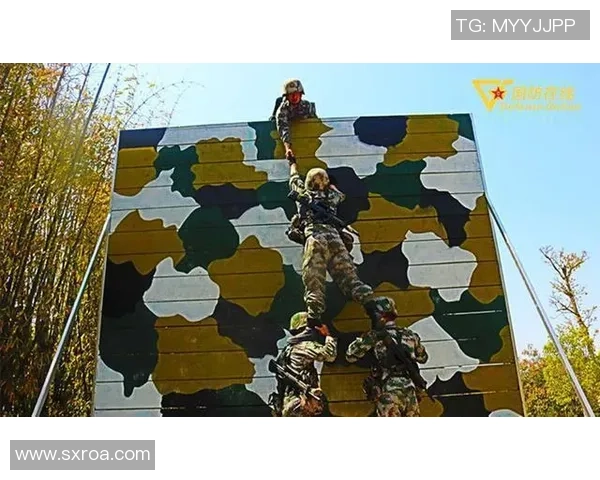 重庆乒乓球队成长之路：从青涩起步到辉煌成就的真实记录