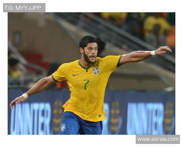 巴西足球明星绿巨人背后的传奇故事与成就解析