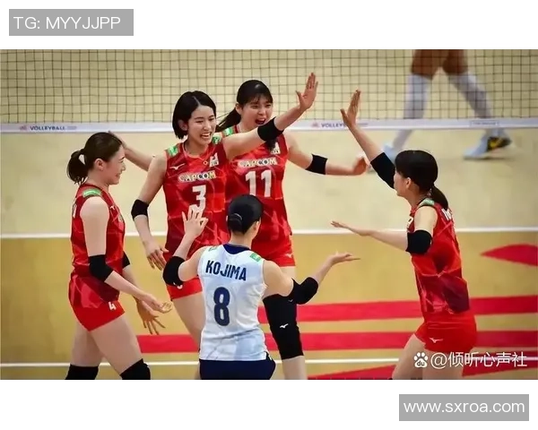 成都排球队以53分领跑精英赛积分榜展现强劲实力